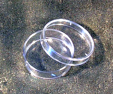 Placa de Petri 35mm -O- Estéril - caixa 800 uni
